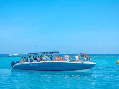 cholon-forever-6-jtp1253x640